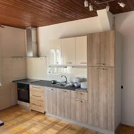 5 Bedrooms Central Lublaň